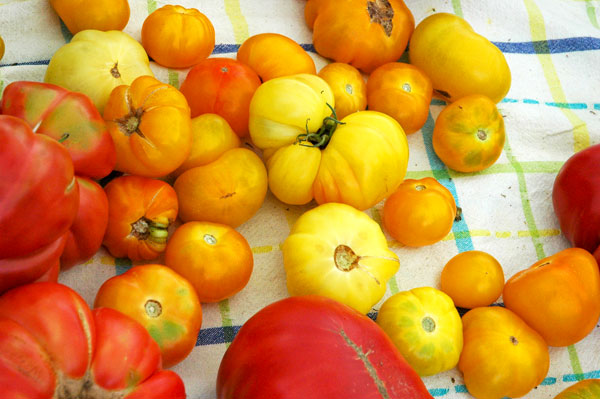 heirloom_tomatoes_cherry_lane_farms heirloom_tomatoes_cherry_lane_farms