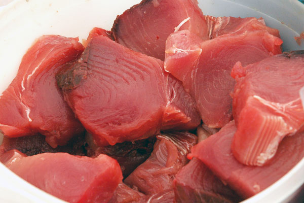 tuna_fv_bookie tuna_fv_bookie