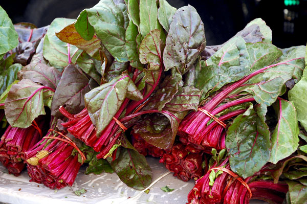 Red_Chard_Lani Red_Chard_Lani
