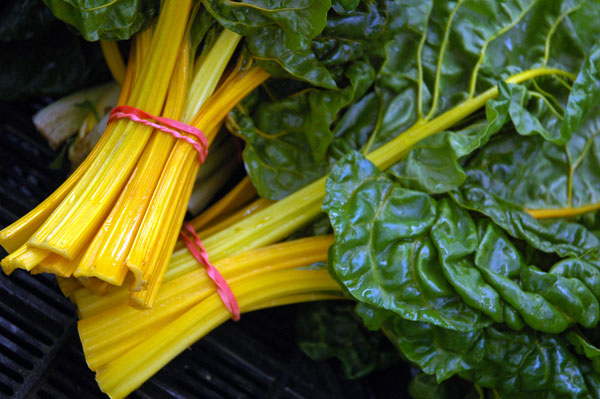 yellow-stem_chard yellow-stem_chard