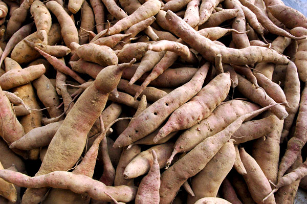 Japanese_sweet_potatoes_Lani