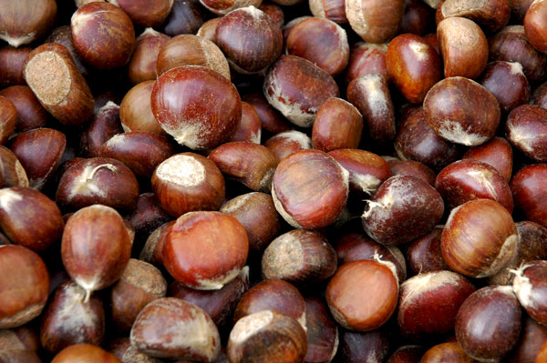 chestnuts_Greenmarket chestnuts_Greenmarket