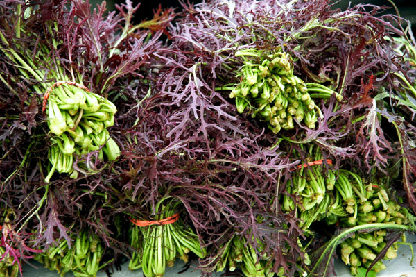 mustard_greens_red_frisee mustard_greens_red_frisee