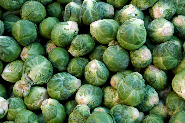 Brussels_sprouts_Van_Houten_Farms Brussels_sprouts_Van_Houten_Farms