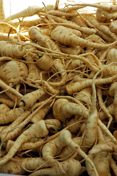 parsnips_Windfall_Farms parsnips_Windfall_Farms