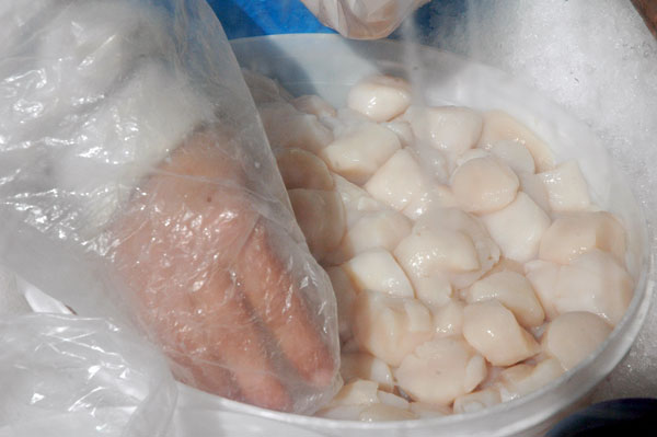 scallops_Blue_Moon_Fish scallops_Blue_Moon_Fish