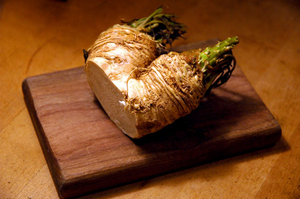 fresh_cut_horseradish