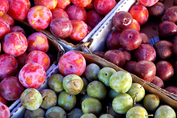 Tree-Licious_plums