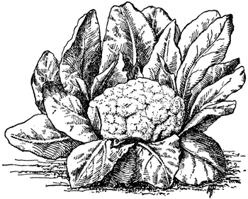 clipart