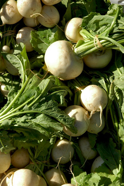 Hakurei_turnips_Keiths_Farm