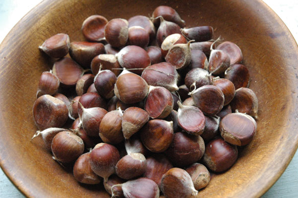 chestnuts_Red_Jacket_Orchards