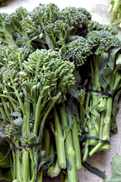 broccolini_D_&_J