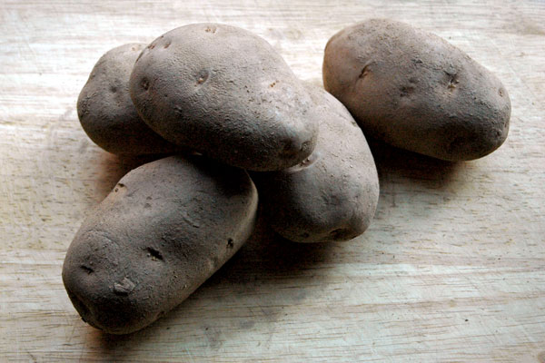 Amey_Russets_Healthy_Farms