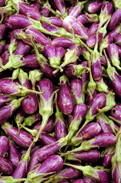 Lanis_Fairy_eggplants