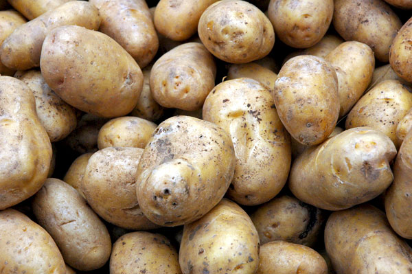 Bintje_Potatoes_Mountain_Berry