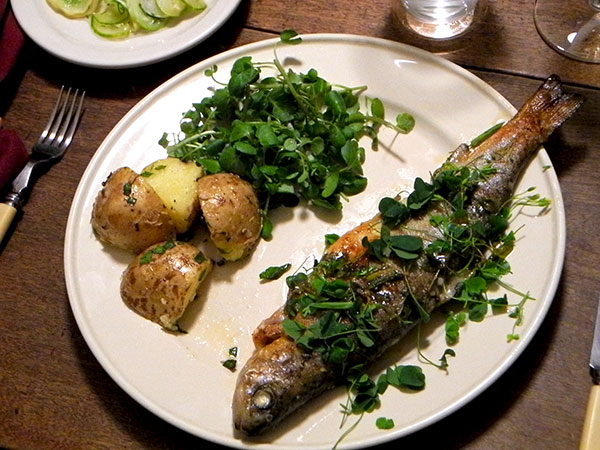 trout_saltz_kartoffeln_cucumber
