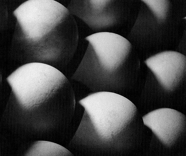 Wiskovsky-Eggs-1929
