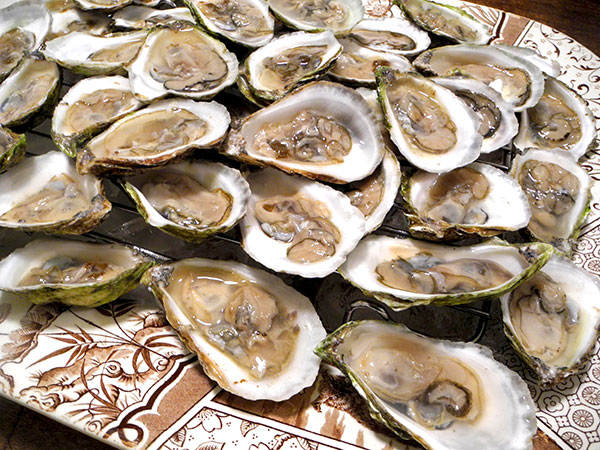 oysters_Walrus_and_Carpenters