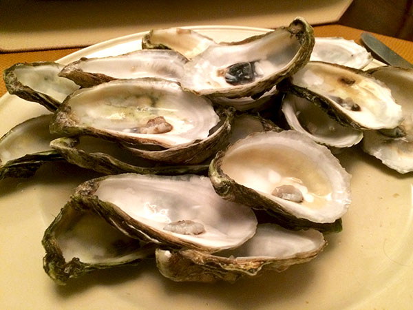 oysters_after