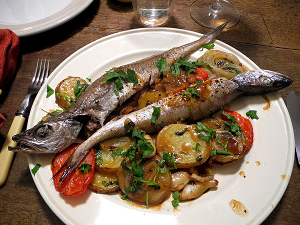 whiting_potato_tomato_gratin