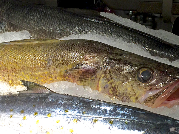 pike_on_ice