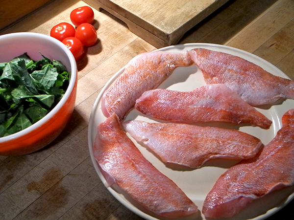 sea_perch_on_counter