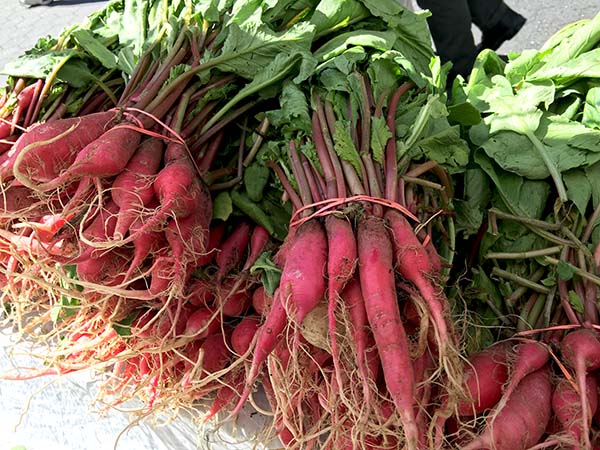 Shuynkyo_radishes