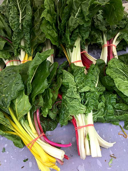 rainbow_chard_Bodhitree
