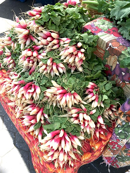 French_breakfast_radishes