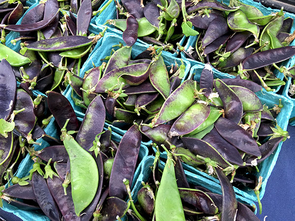 Royal_snow_peas