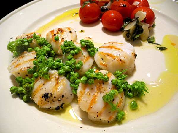 scallops_milkweed_buds_tomatoes