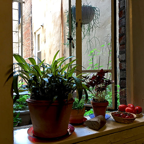 window_breakfast