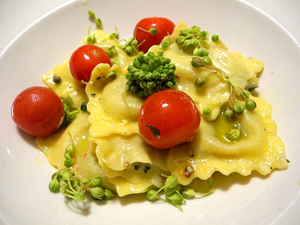 artichoke_ravioli_tomato_milkweed