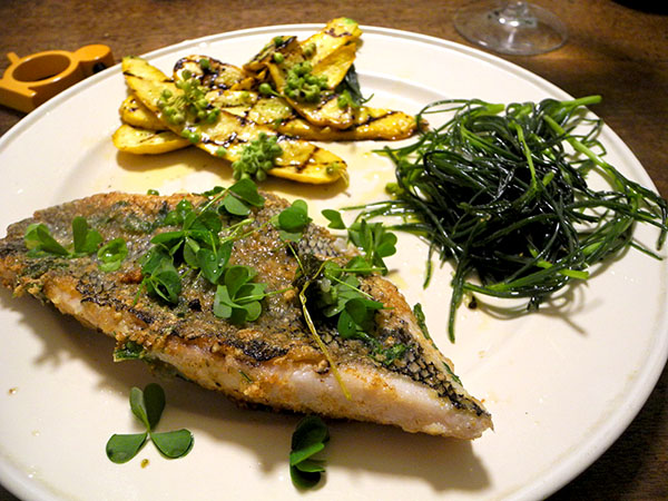 black_sea_bass_oxalis