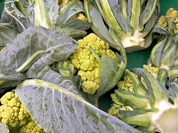 cauliflower_green2