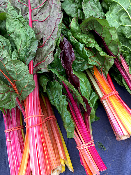 chard_rainbow