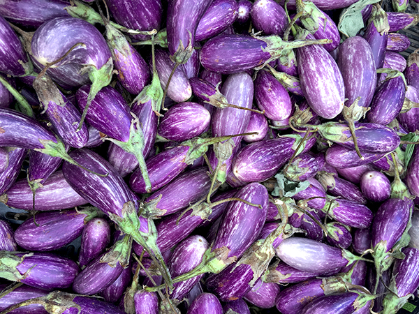 fairy+tale_eggplant