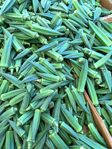 okra2