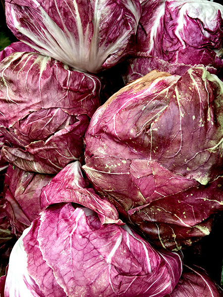 radicchio