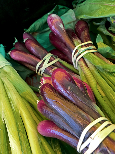 red_scallions