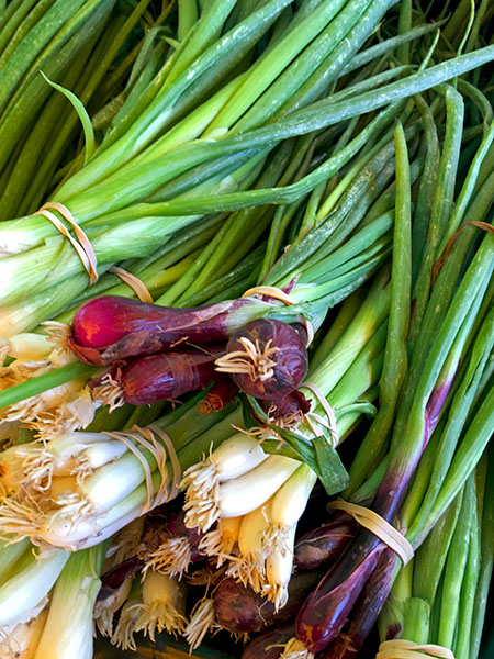 red_scallions