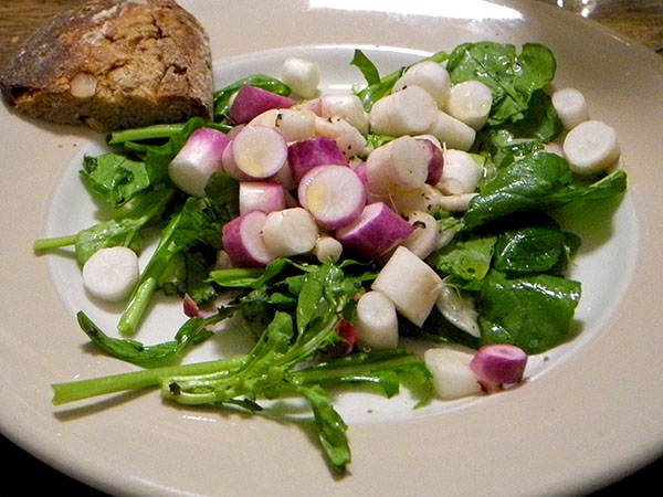 salad_turnip-arugula