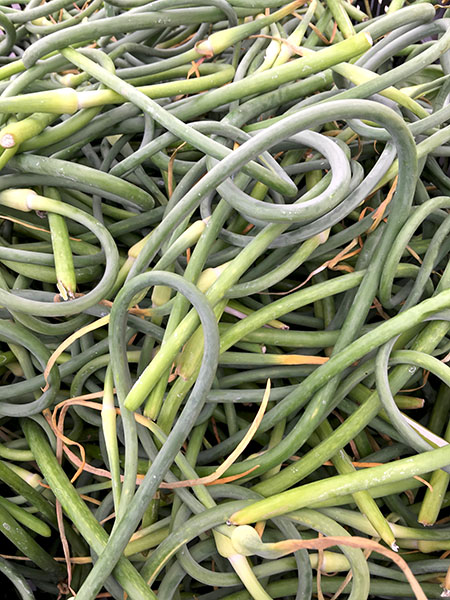 scapes