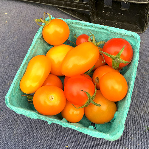 tomatoes