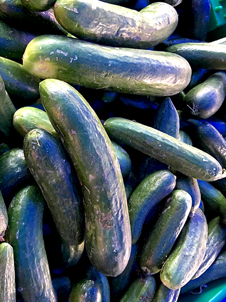 cucumbers_Persian