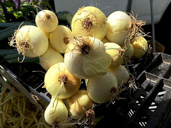 fresh_green_onions