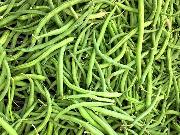 haricots_verts