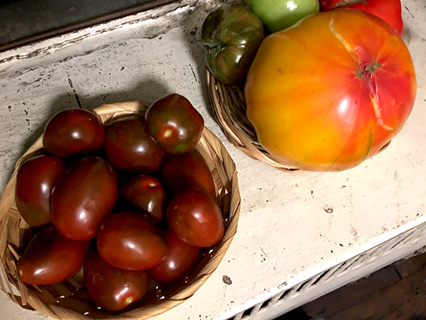 black_cherry_tomatoes_and_others