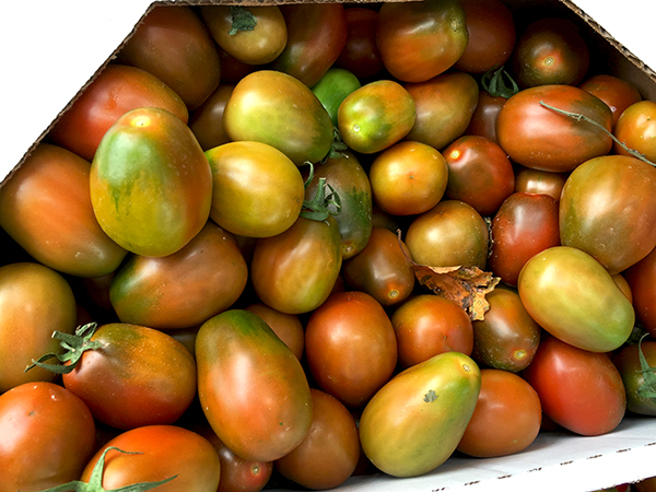 black_plum_tomatoes
