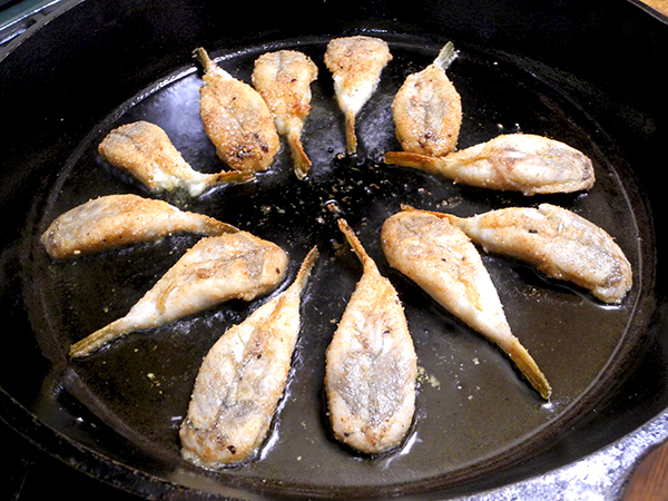 blow_fish_frying